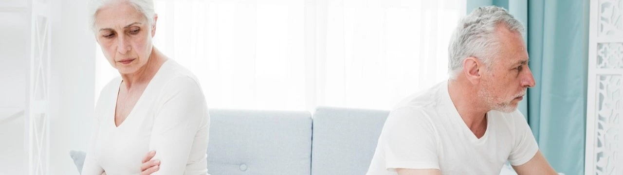 Silver Divorce Banner